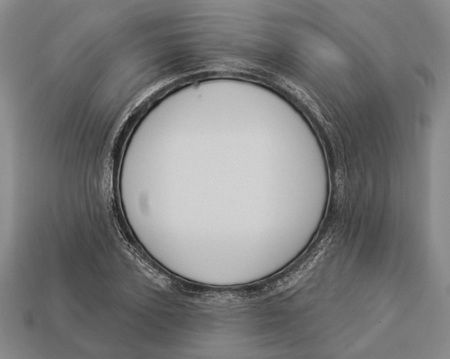 X0000112960931200909241157