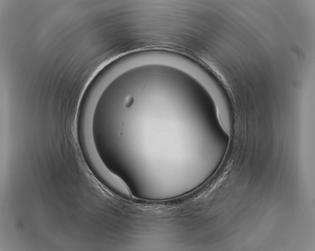 X0000112960932200909241157