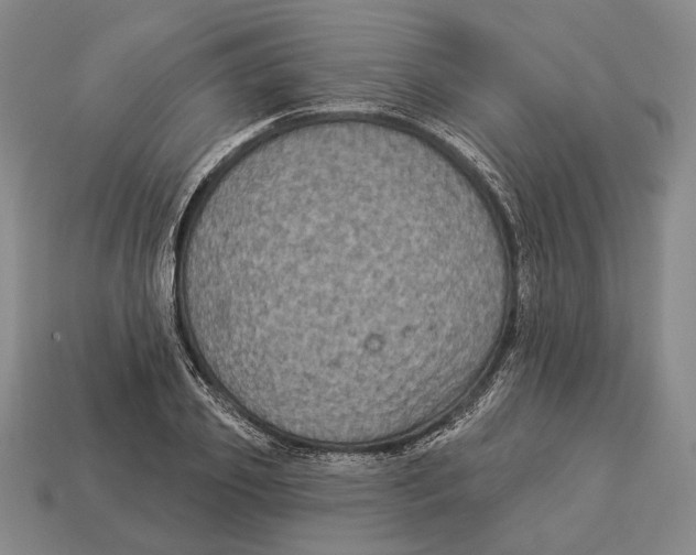 X0000112960933200909241157