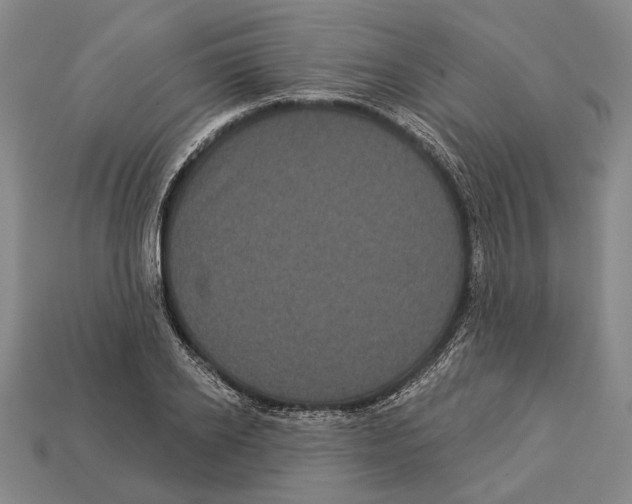 X0000112960934200909241157