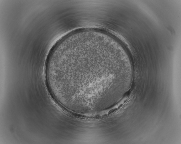 X0000112960935200909241157