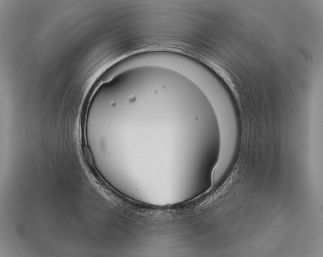 X0000112960936200909241157