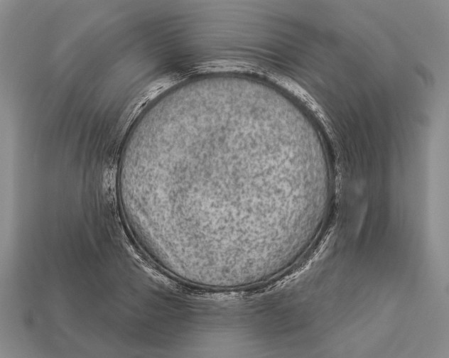 X0000112960937200909241157