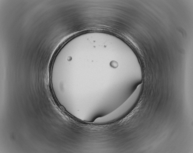 X0000112960940200909241157