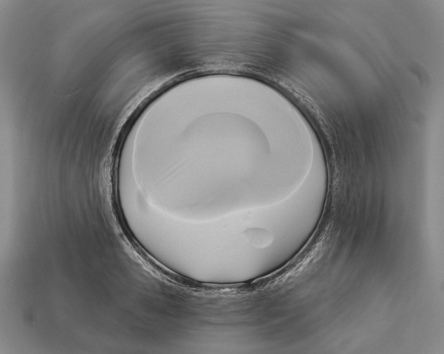 X0000112960941200909241157