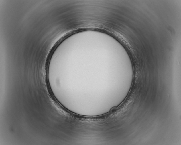 X0000112960942200909241157