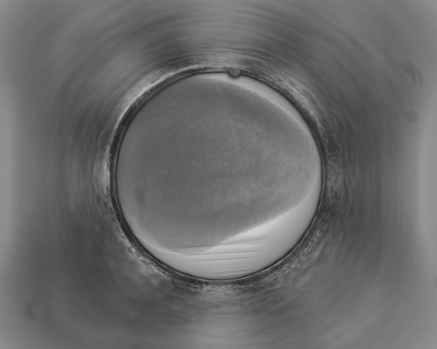 X0000112960944200909241157