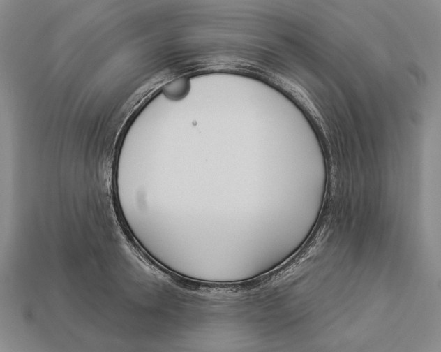 X0000112960946200909241157