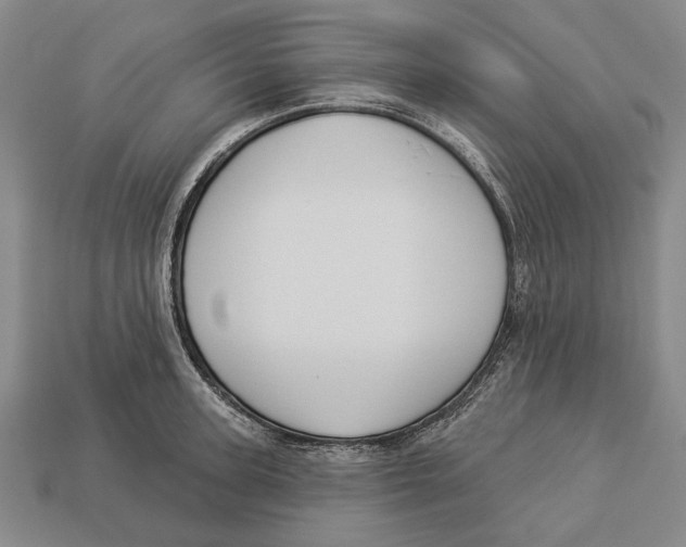 X0000112960947200909241157