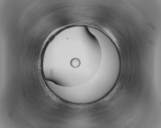 X0000112960948200909241157