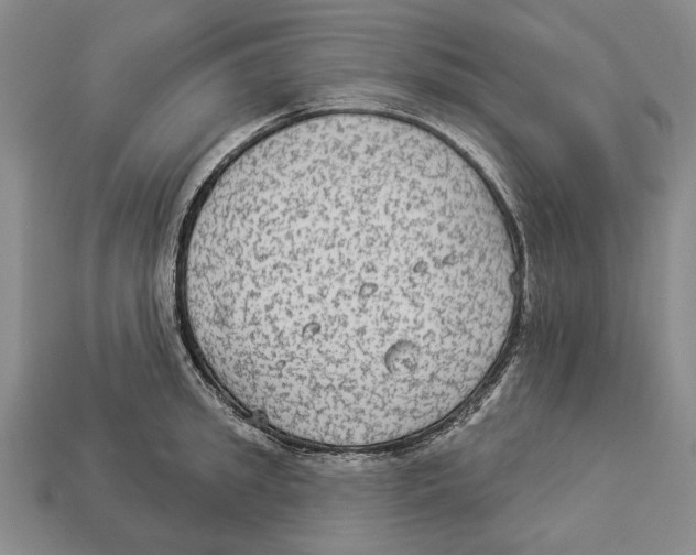 X0000112960949200909241157