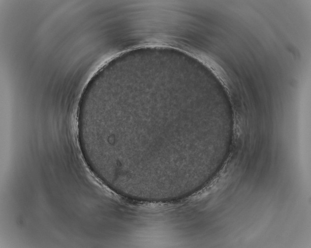 X0000112960950200909241157