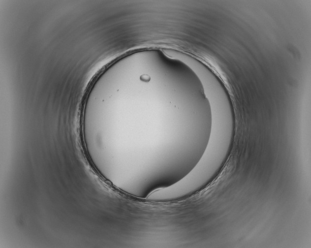 X0000112960952200909241157