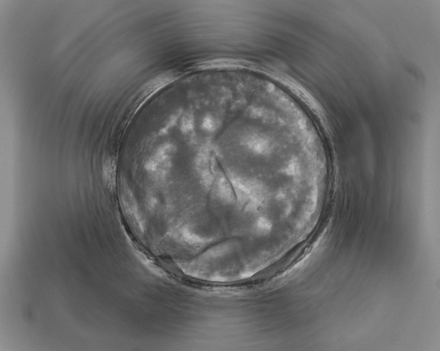 X0000112960953200909241157