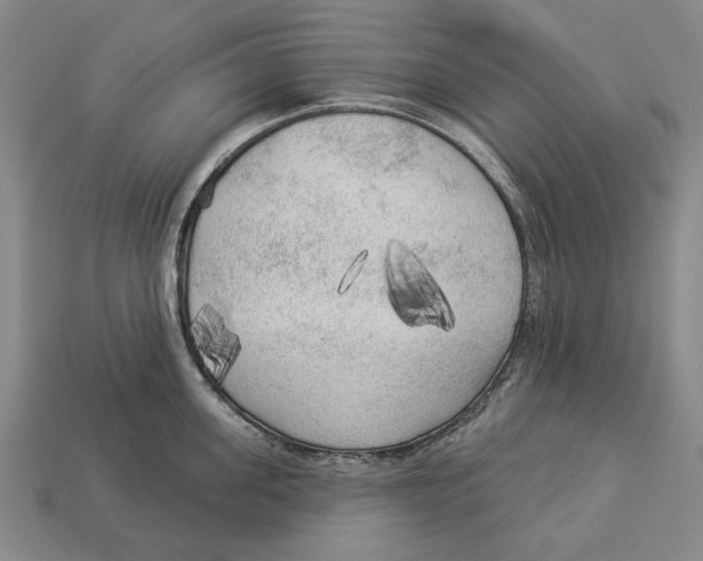 X0000112960955200909241157