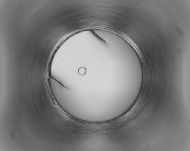 X0000112960956200909241157