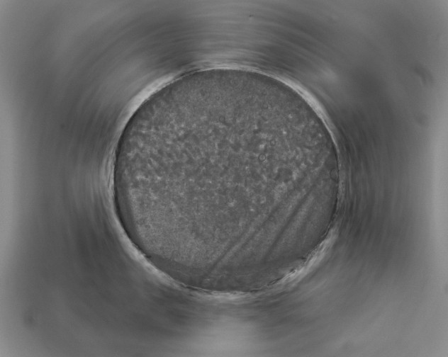 X0000112960957200909241157