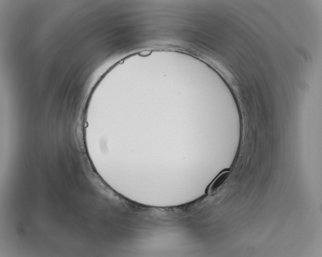 X0000112960960200909241157