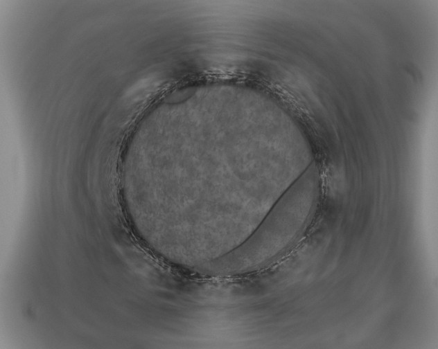 X0000112960961200909241156