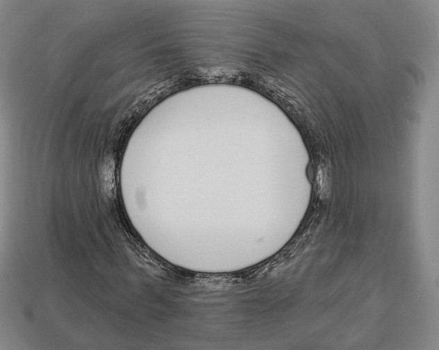 X0000112960963200909241156