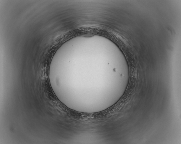 X0000112960965200909241156