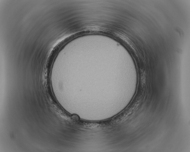 X0000112960971200909241156