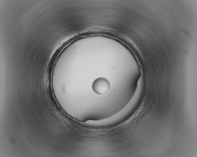 X0000112960973200909241156