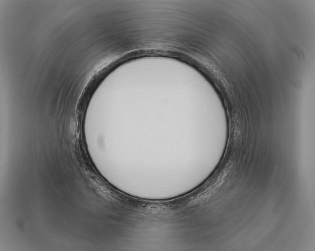 X0000112960974200909241156