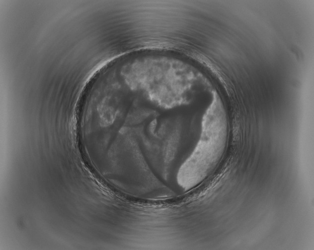 X0000112960975200909241156