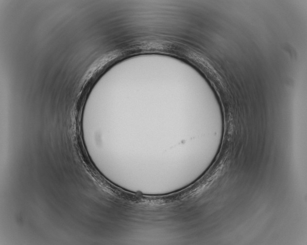 X0000112960978200909241156