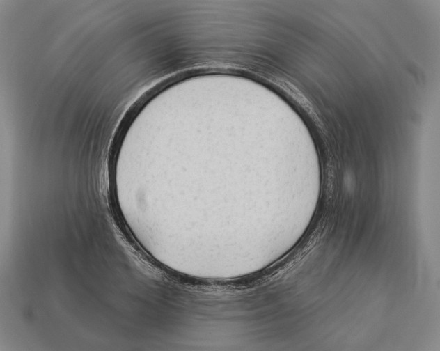 X0000112960980200909241156