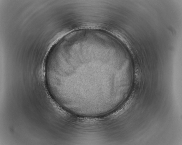 X0000112960981200909241156