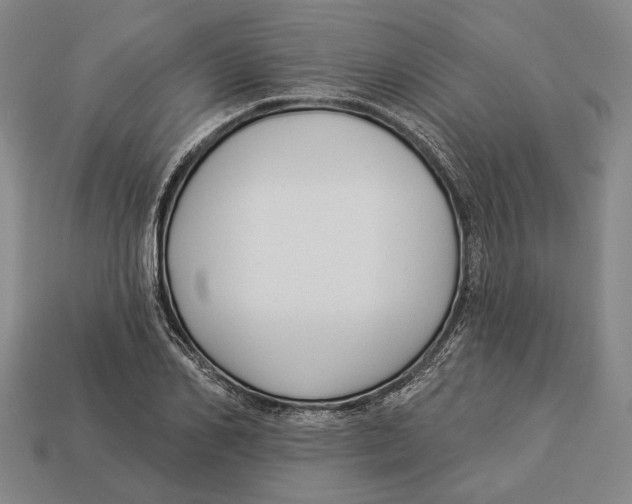 X0000112960982200909241156