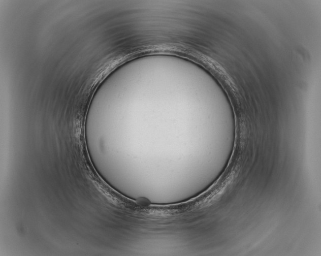 X0000112960985200909241156