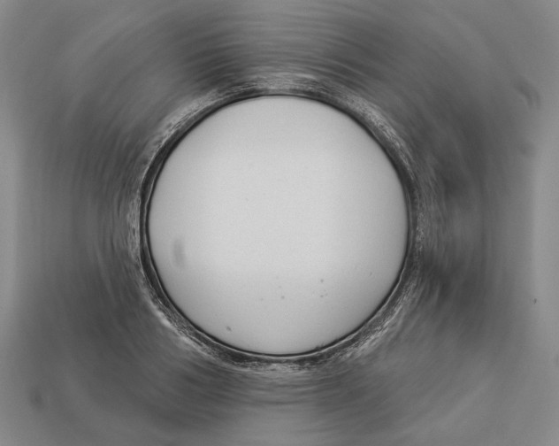 X0000112960986200909241156