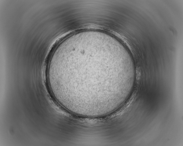 X0000112960987200909241156