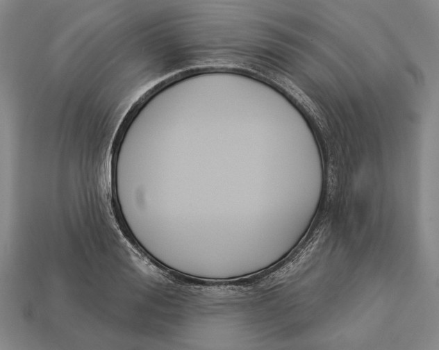 X0000112960988200909241156