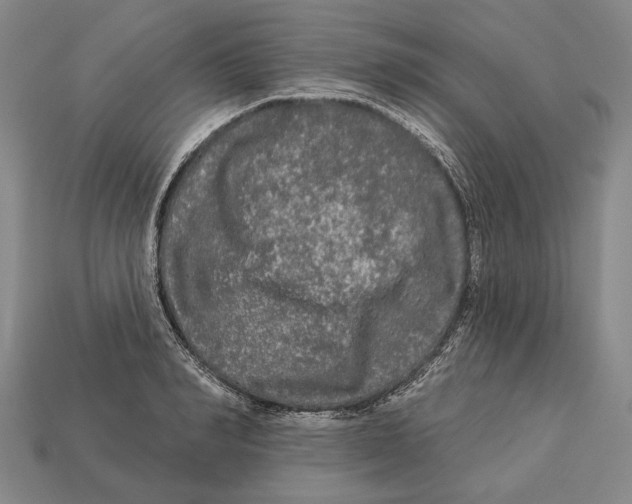 X0000112960990200909241156