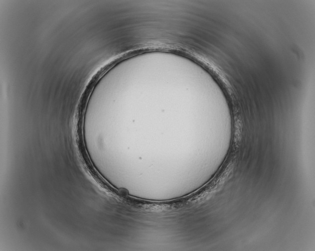 X0000112960991200909241156