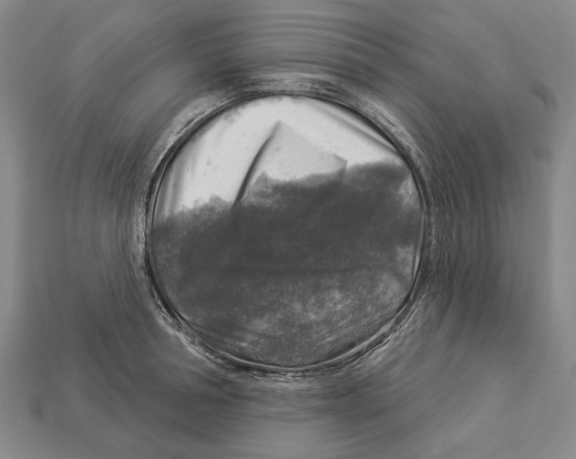 X0000112960994200909241156