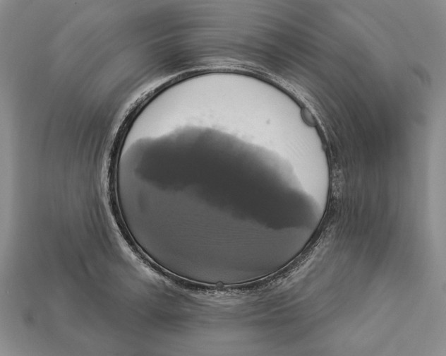 X0000112960995200909241156