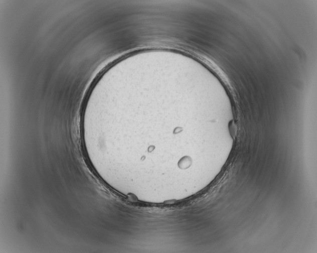 X0000112960996200909241156