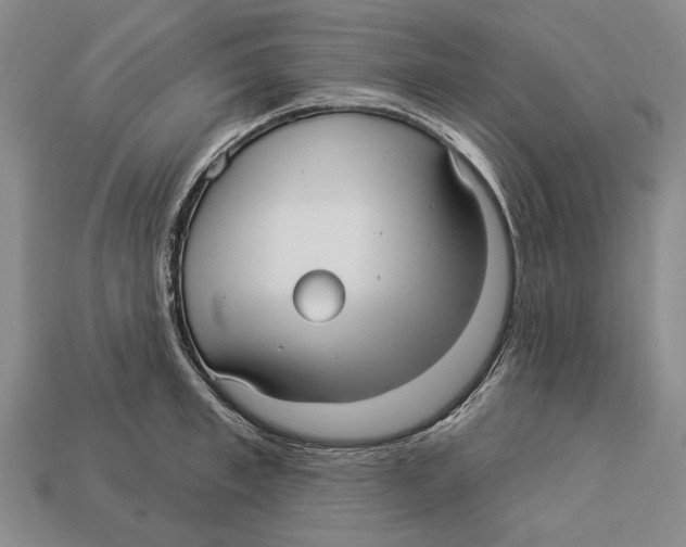 X0000112960997200909241156