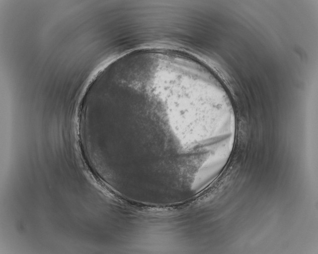 X0000112960998200909241156