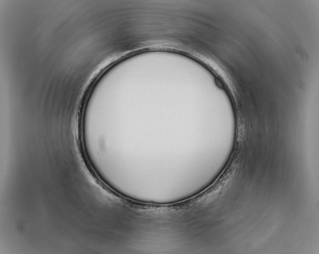 X0000112960999200909241156