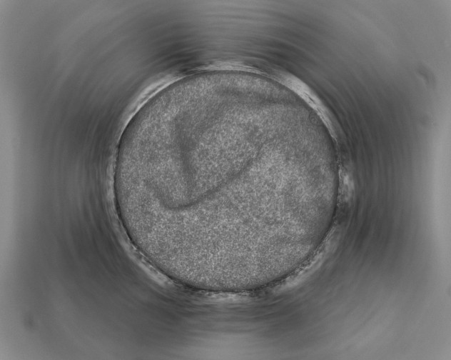 X0000112961002200909241156