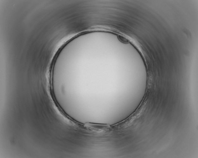 X0000112961003200909241156