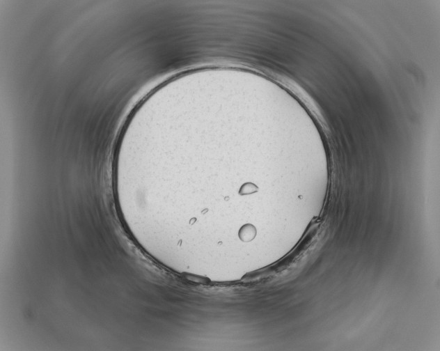 X0000112961004200909241156