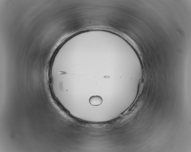 X0000112961005200909241156