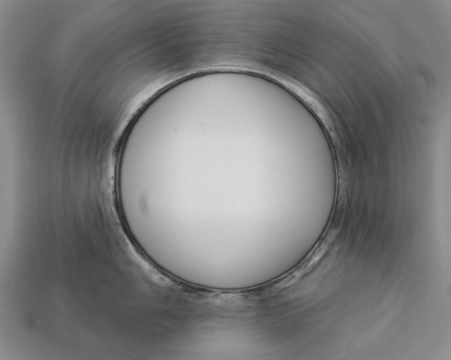 X0000112961006200909241156